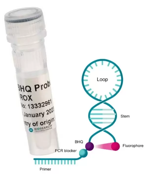 oligonucleotídeos Imagem de um tubo branco de análises clínicas com Oligonucleotídeos e um desenho gráfico ao lado representando um DNA.