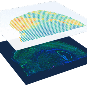 Imagem de um quadrado azul com micropontos coloridos e outro quadrado branco por cima ilustrando Transcriptoma Espacial.