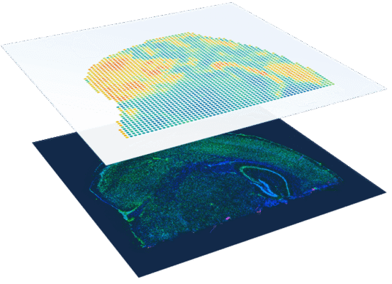 Imagem de um quadrado azul com micropontos coloridos e outro quadrado branco por cima ilustrando Transcriptoma Espacial.