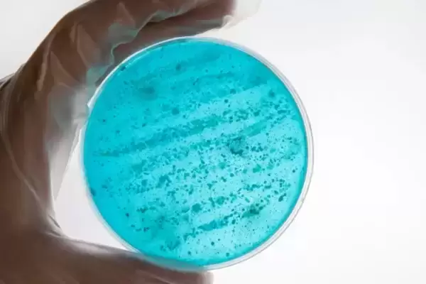 Uma profissional biomédica trabalhando em laboratório