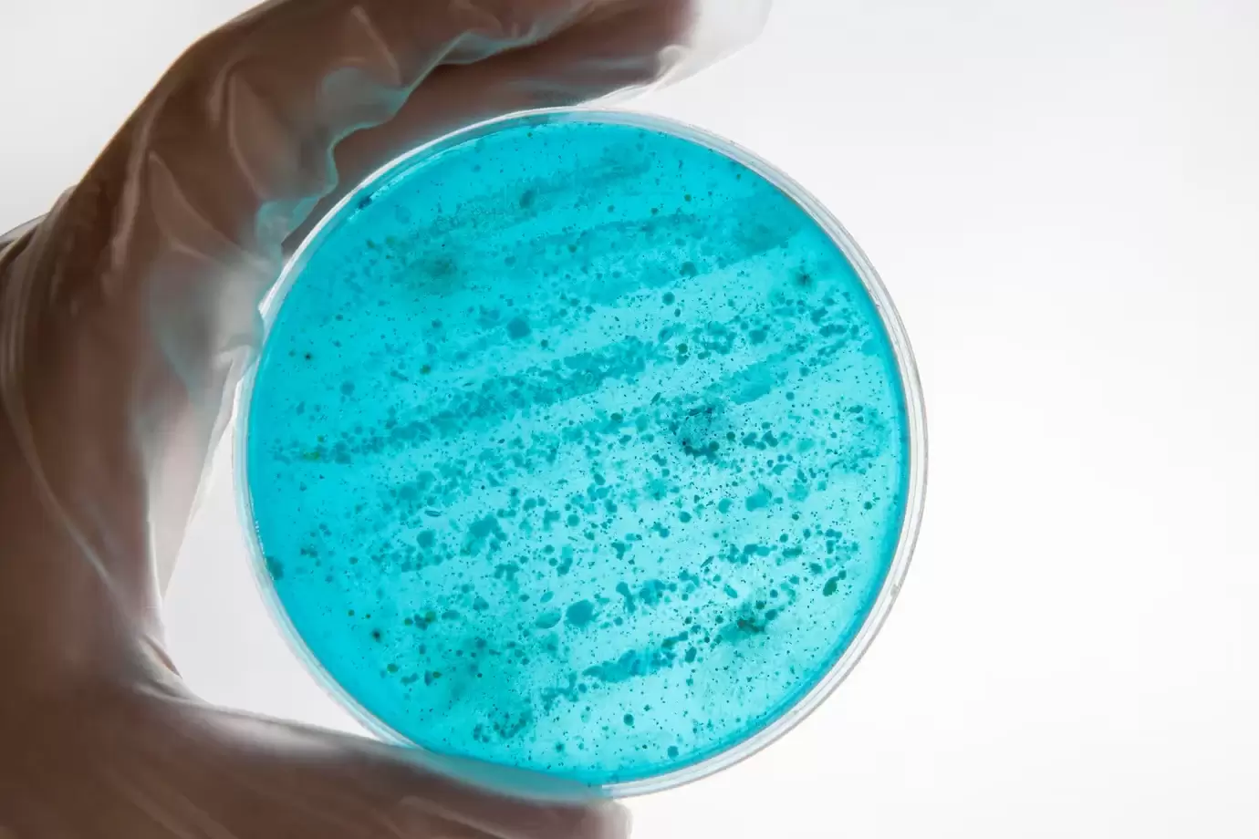 Uma profissional biomédica trabalhando em laboratório