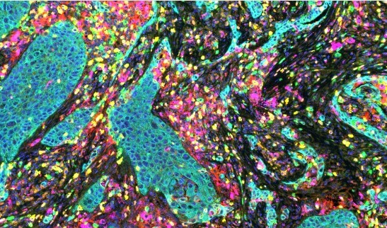 WhatsApp Image 2026-01-27 at 16.45.42