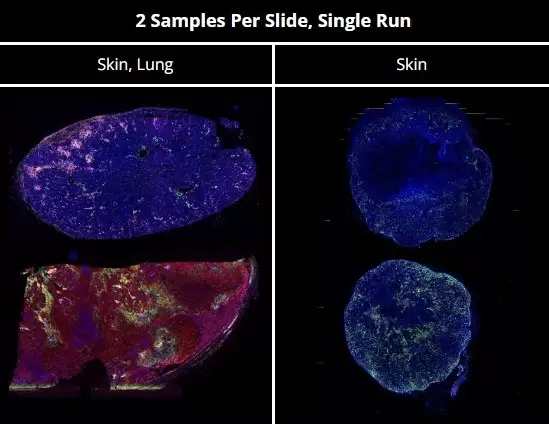 phenocycler-fusion-2-0-2