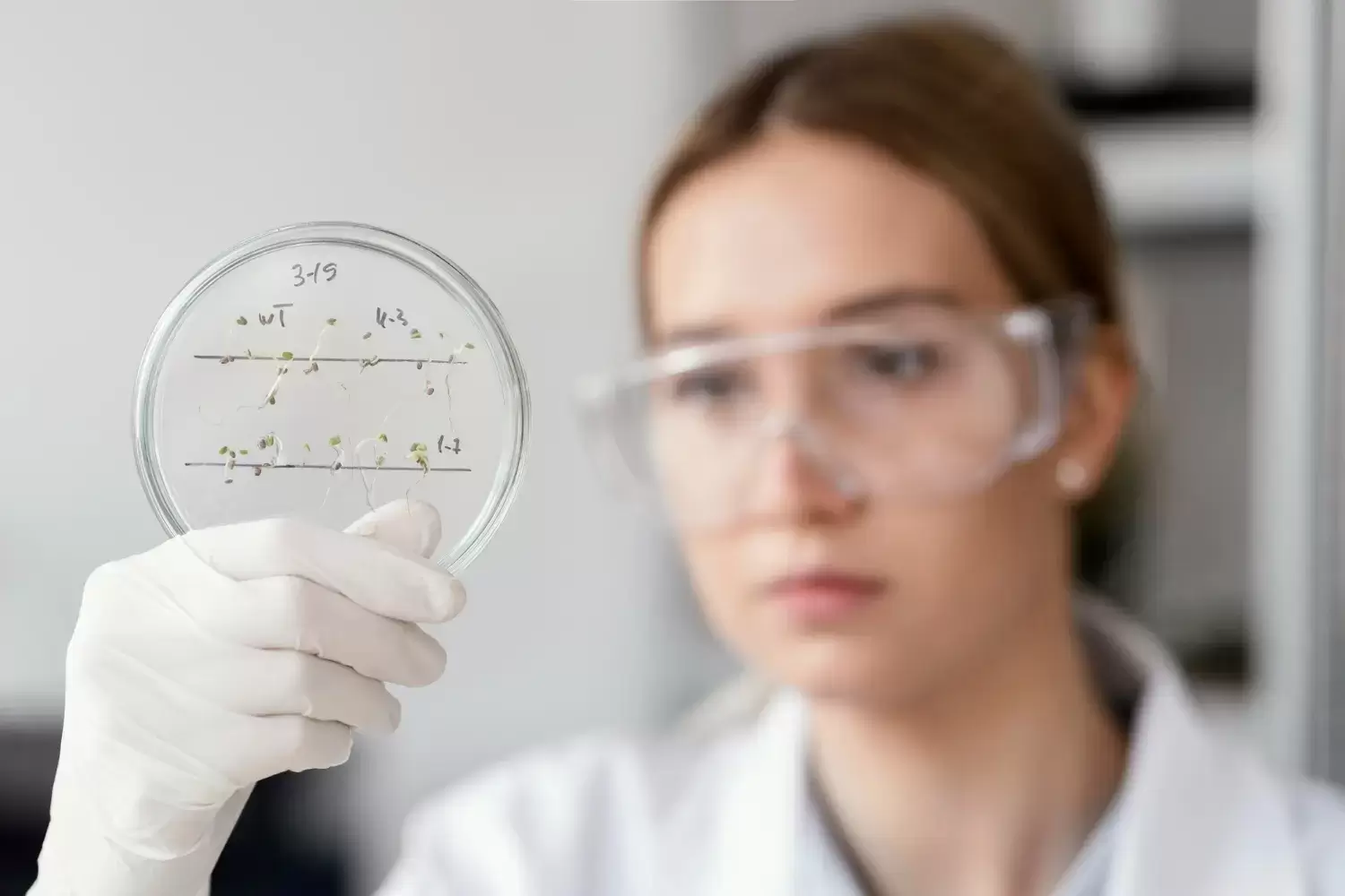 Uma profissional analisa amostra de biológia.